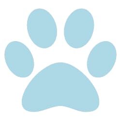 boy-paw